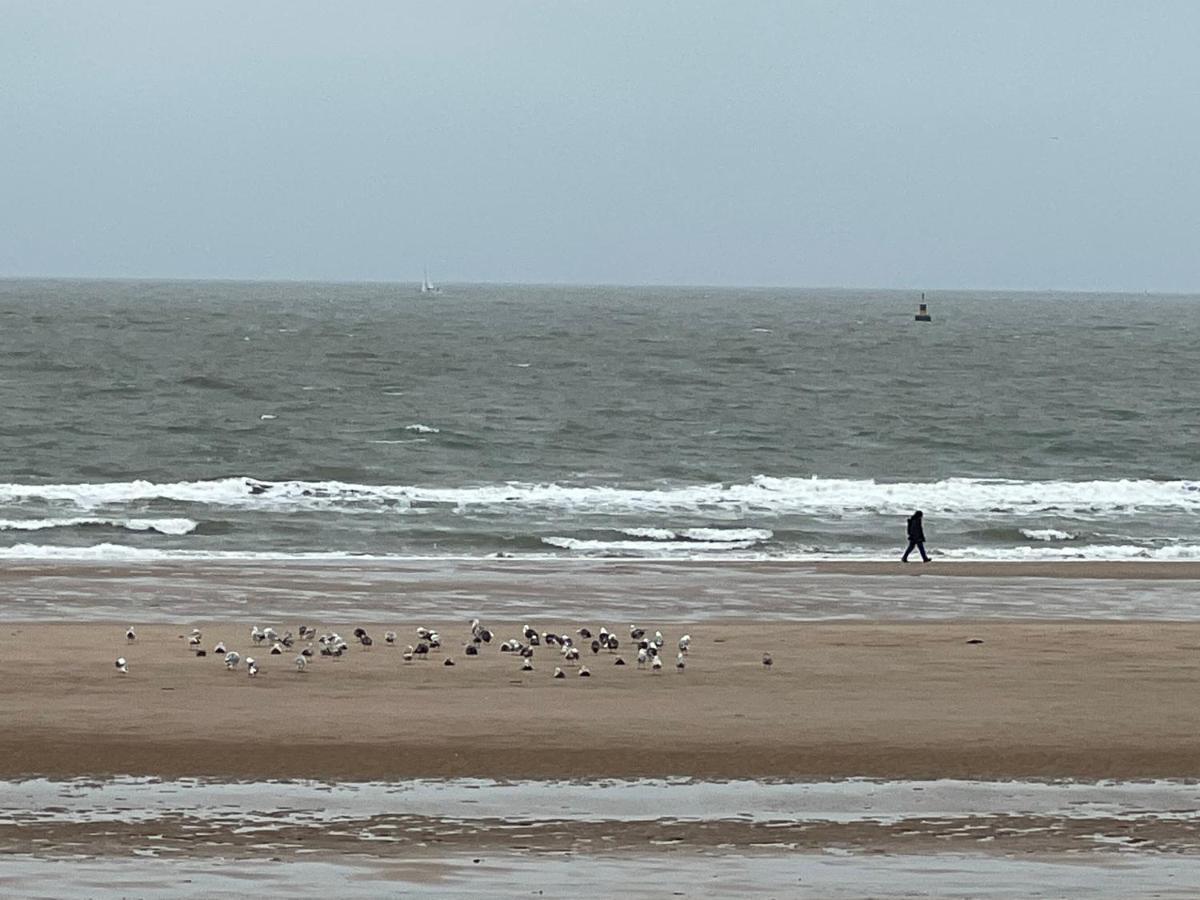 Cosy 1 Bedroom 900m From * Ostende