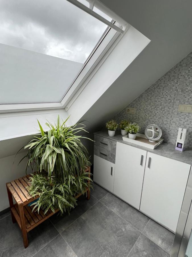 Appartement Cosy 1 Bedroom 900m From